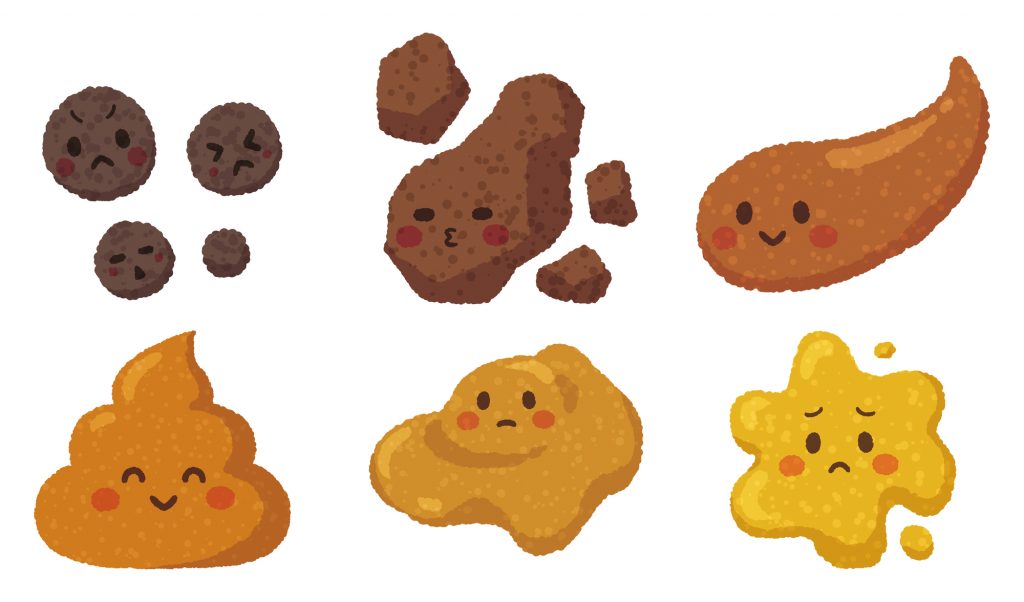 うんちの形と粘稠度